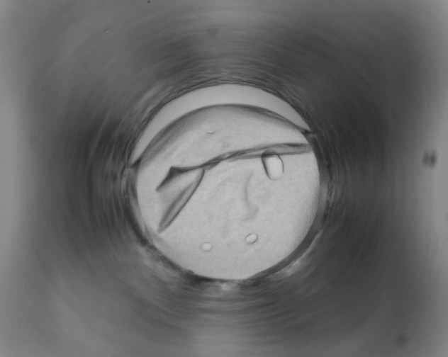 X0000112090140200909151145