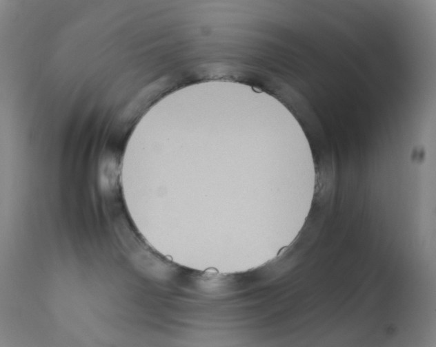 X0000112090142200909151145
