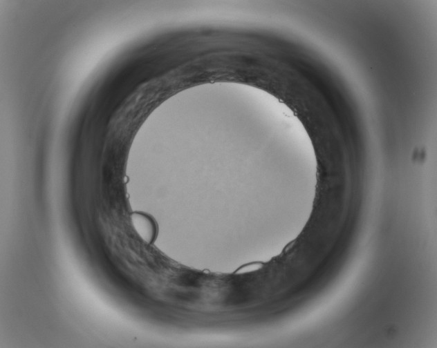 X0000112090143200909151145