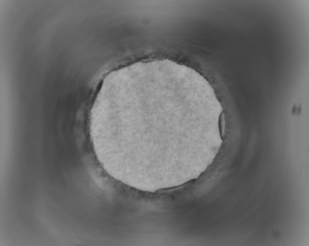 X0000112090144200909151145