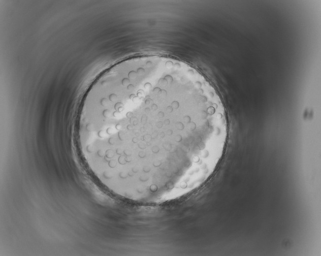 X0000112090145200909151144