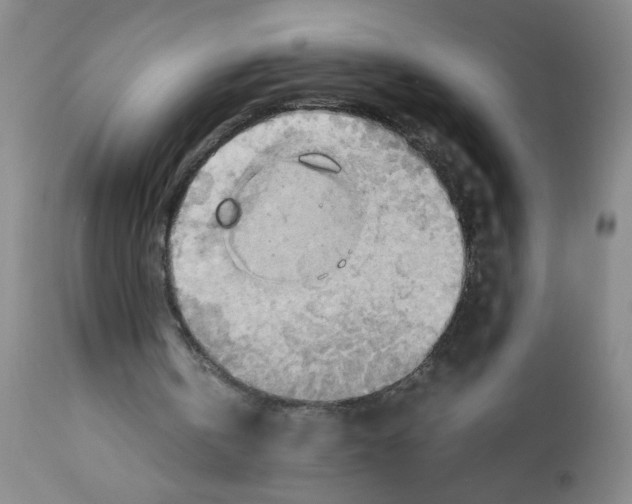 X0000112090146200909151144