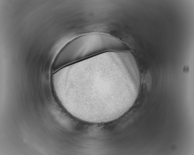 X0000112090148200909151144