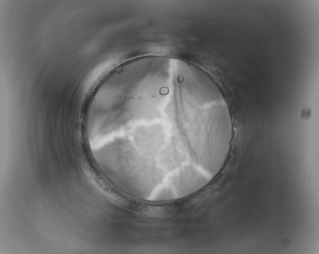 X0000112090149200909151144