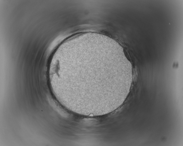 X0000112090150200909151144