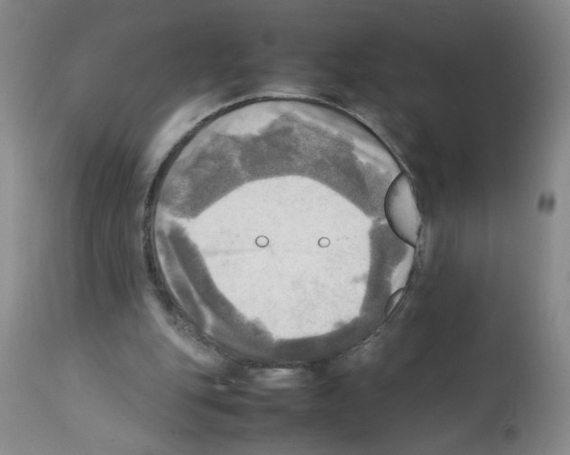 X0000112090151200909151144