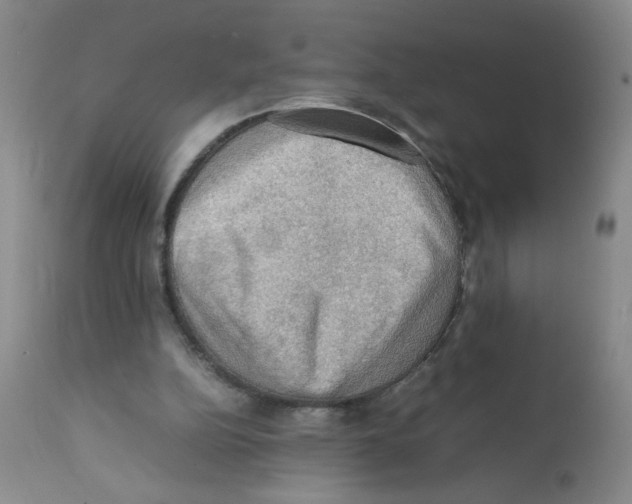X0000112090152200909151144