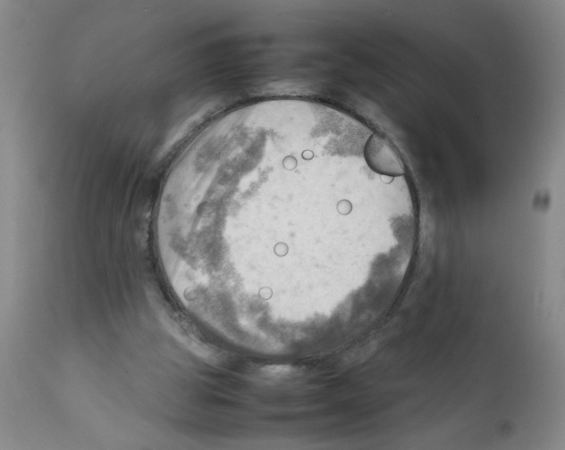 X0000112090153200909151144