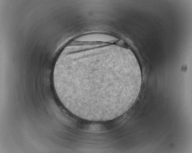 X0000112090154200909151144