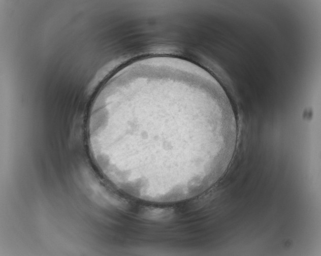 X0000112090155200909151144