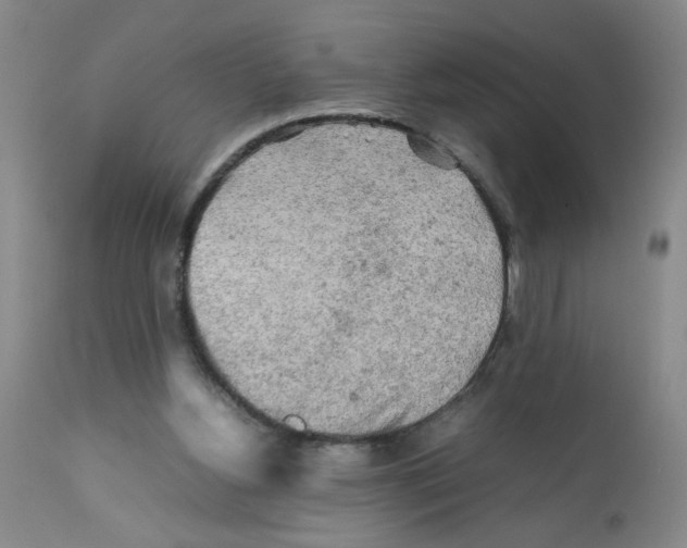 X0000112090156200909151144