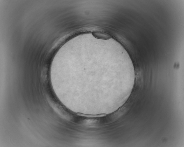 X0000112090158200909151144