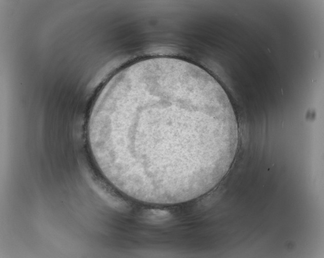 X0000112090159200909151144