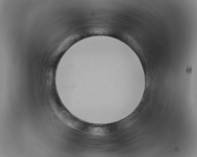 X0000112090163200909151144