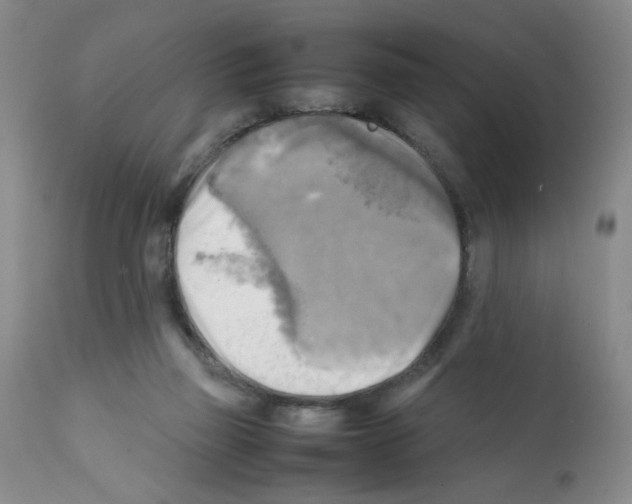 X0000112090165200909151144