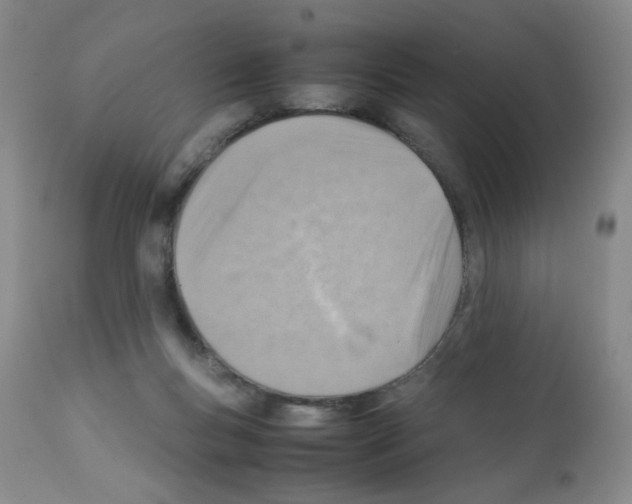 X0000112090167200909151144