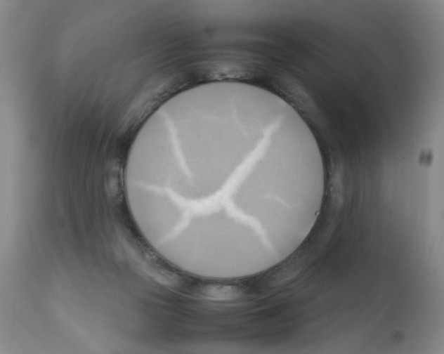 X0000112090169200909151144