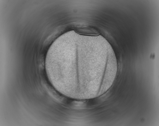 X0000112090170200909151144
