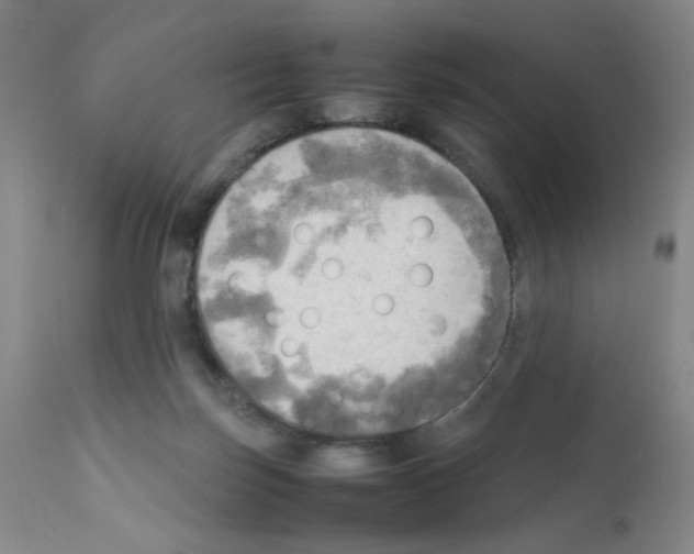 X0000112090171200909151145
