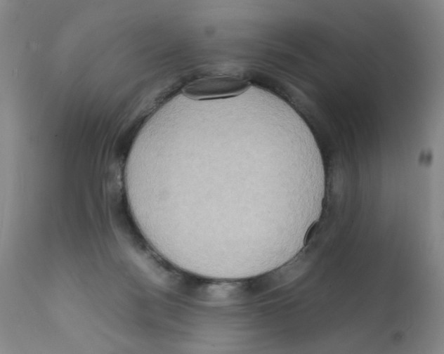 X0000112090172200909151145