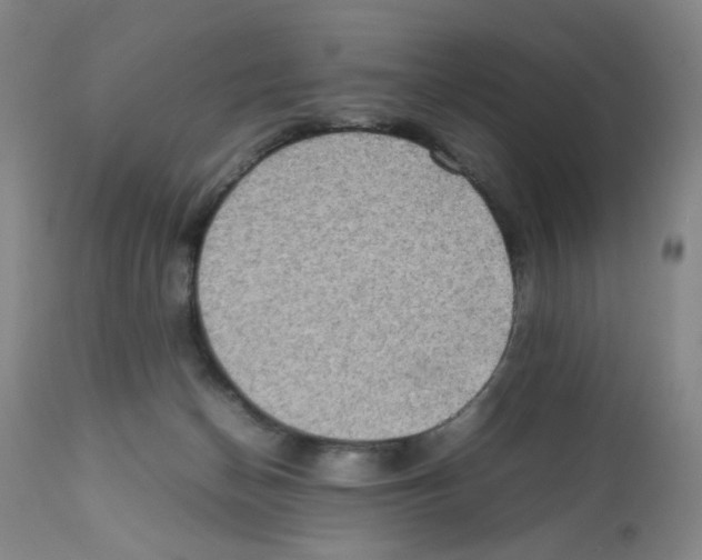 X0000112090174200909151145
