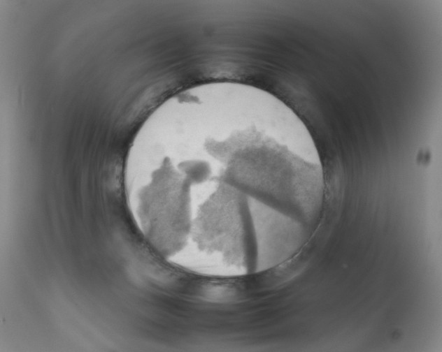 X0000112090175200909151145