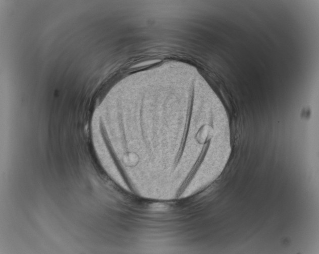X0000112090176200909151145