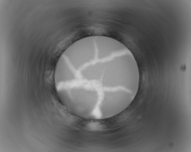 X0000112090177200909151145