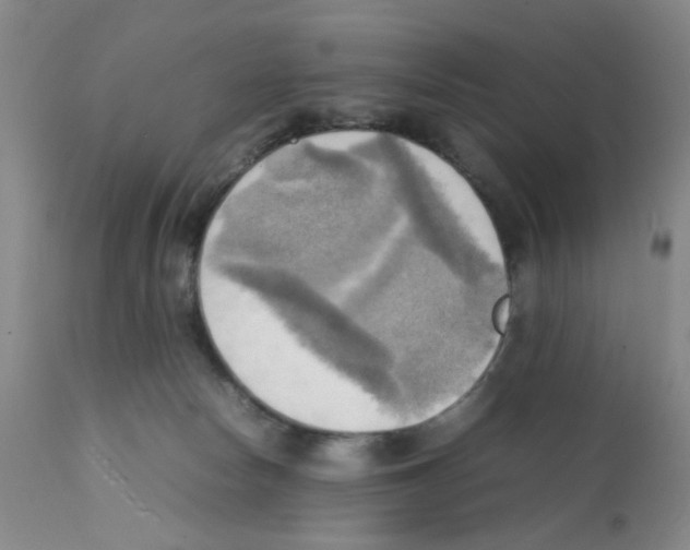 X0000112090178200909151145