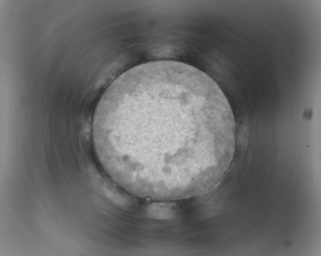 X0000112090179200909151145