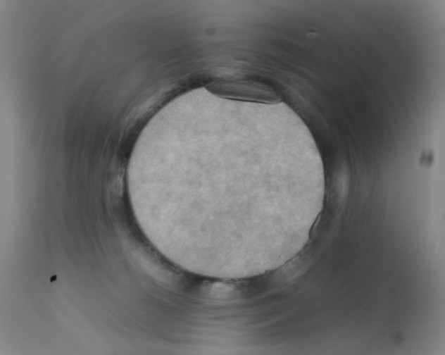 X0000112090180200909151145