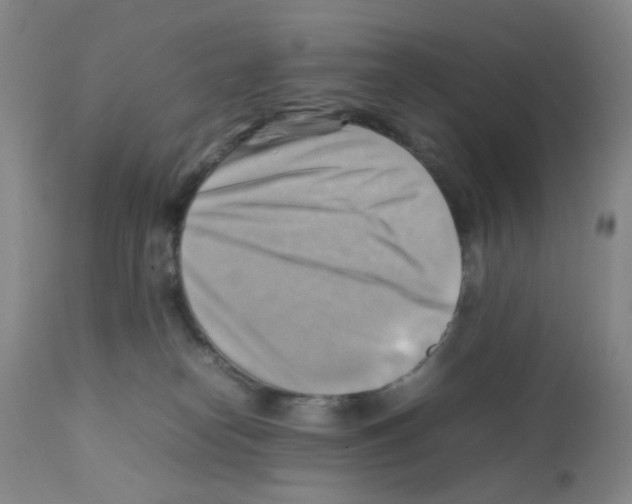 X0000112090182200909151145