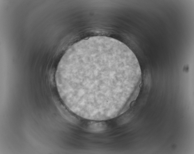 X0000112090185200909151145