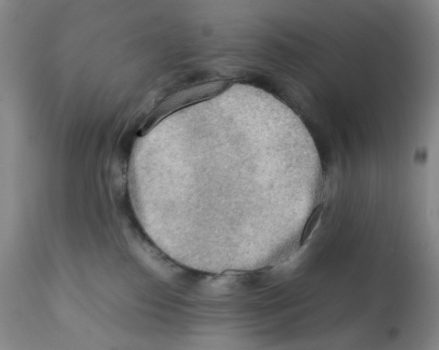 X0000112090186200909151145