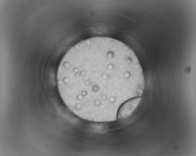 X0000112090187200909151145