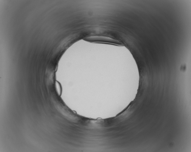 X0000112090188200909151145