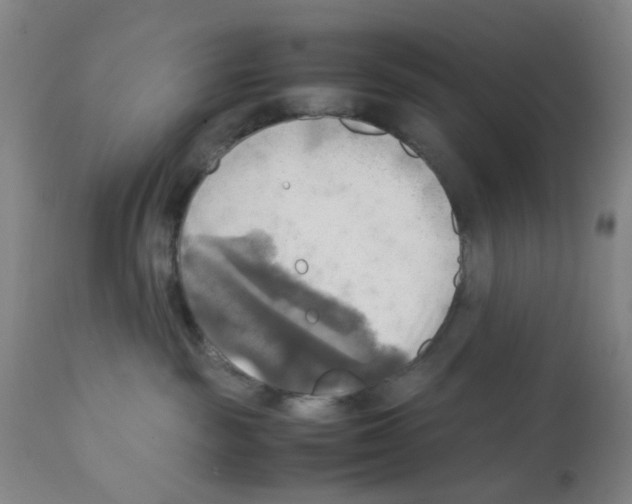 X0000112090189200909151145