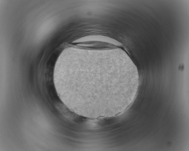 X0000112090190200909151145