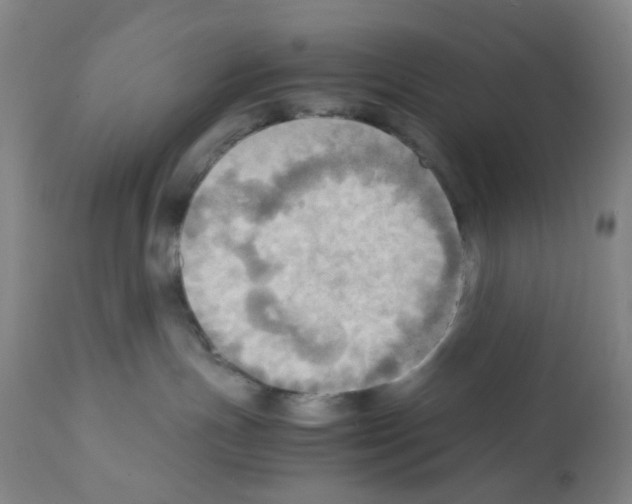 X0000112090191200909151145