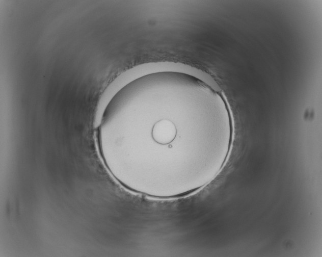 X0000112090192200909151145