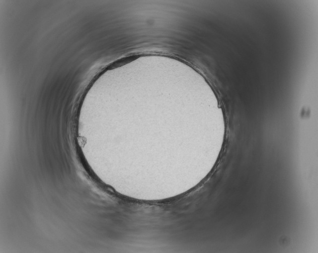 X0000112090193200909151144