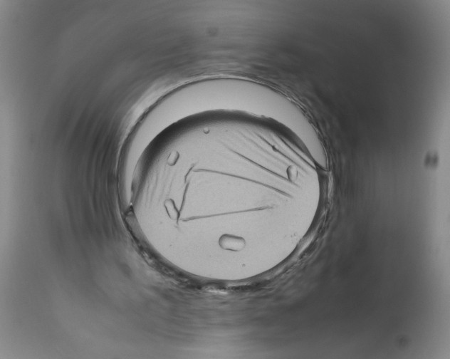 X0000112090195200909151144