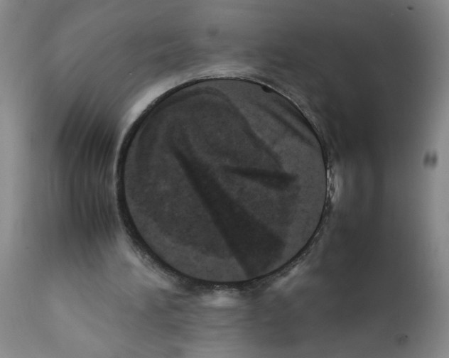 X0000112090196200909151144