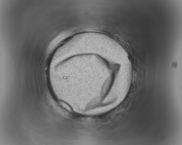 X0000112090197200909151144