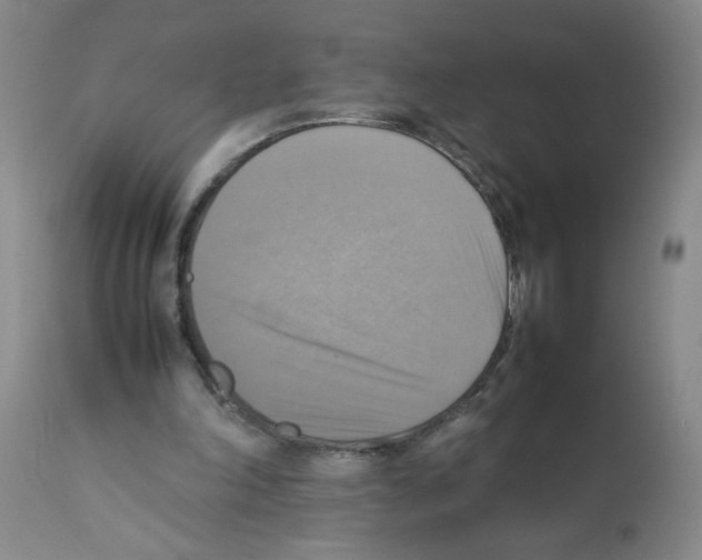 X0000112090198200909151144