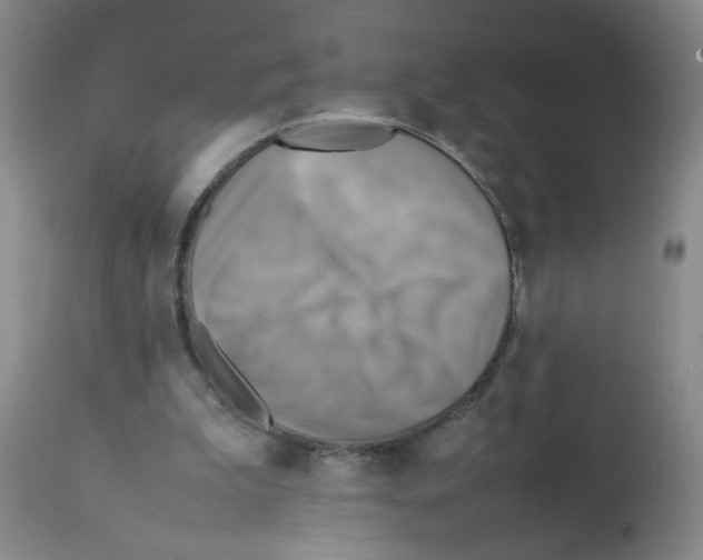 X0000112090199200909151144