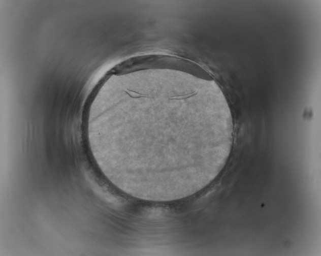 X0000112090200200909151144