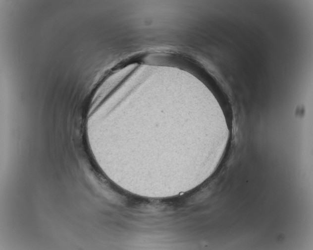 X0000112090201200909151144