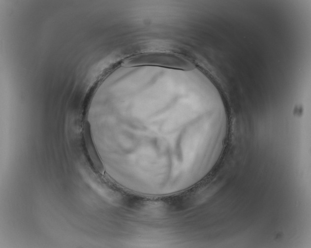 X0000112090203200909151144