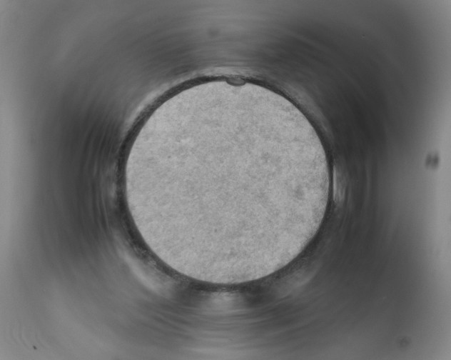 X0000112090204200909151144
